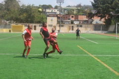Ondulapel X Fabricadora (149)
