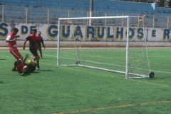 Ondulapel X Fabricadora (77)